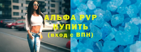 стаф Арсеньев