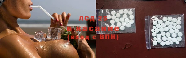 стаф Арсеньев