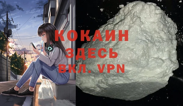 стаф Арсеньев
