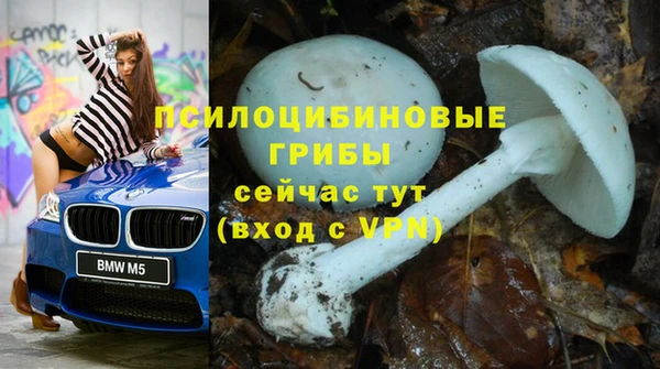 стаф Арсеньев