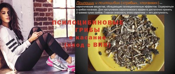 прущие грибы Аркадак