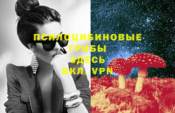 стаф Арсеньев