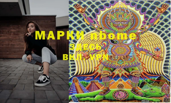прущие грибы Аркадак