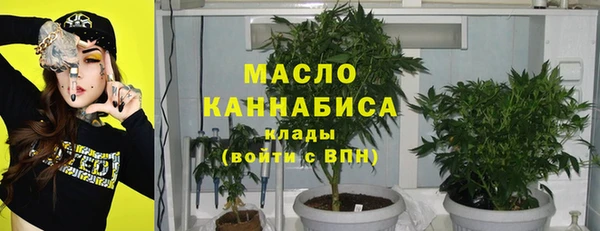 стаф Арсеньев