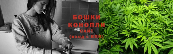 прущие грибы Аркадак