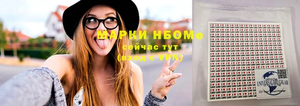 прущие грибы Аркадак