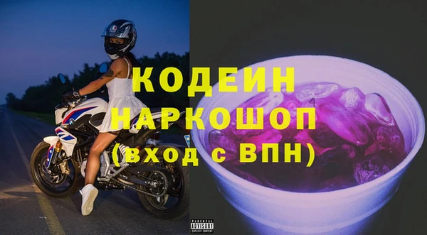 прущие грибы Аркадак