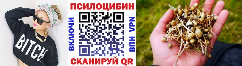 Галлюциногенные грибы Magic Shrooms  купить наркотики цена  Серафимович 